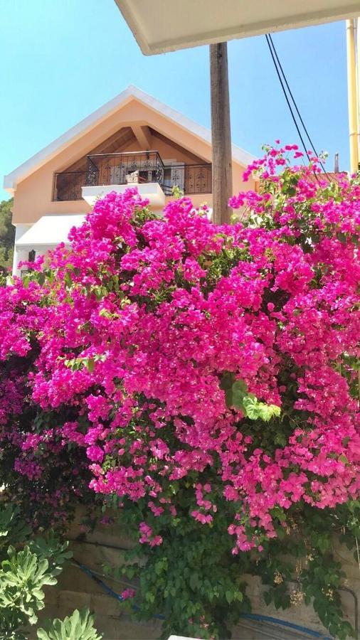 Barbara'S One Bedroom Apartments Argostoli (Kefalonia) Exterior foto